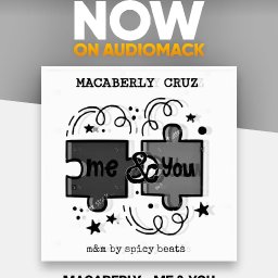 uploaded_audio image