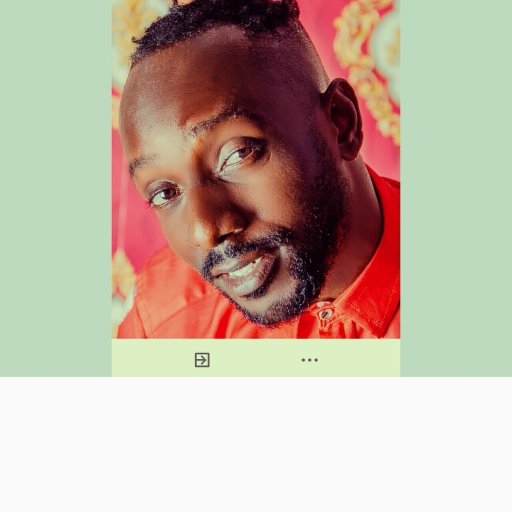 ELvisERRA-Display_Record