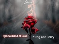 Special Kind of Love 