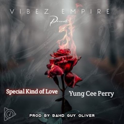 Special Kind of Love 