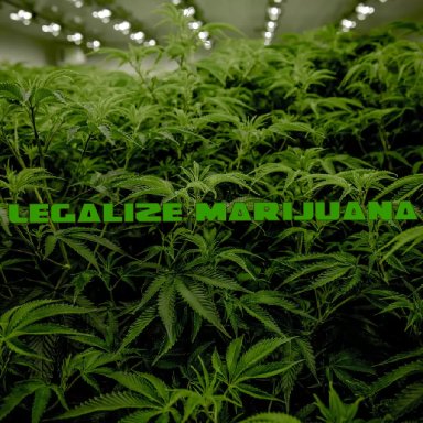 Legalize Marijuana 