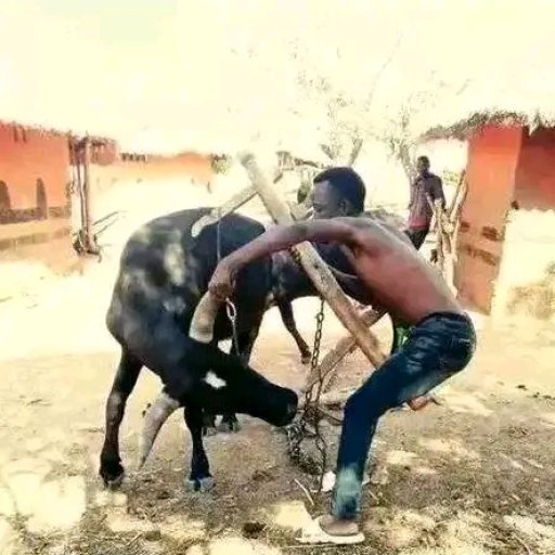 King Z- Ka dance Ka amfumu (Prod by Tom Zee Nexus)