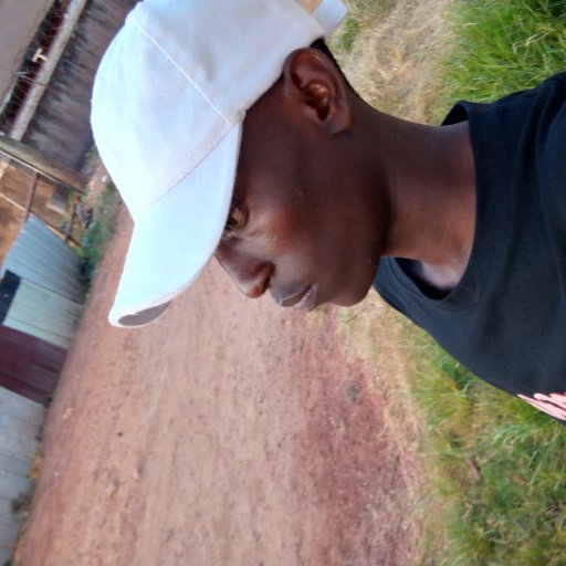 Nyumirwa  by Sasha M WALE 