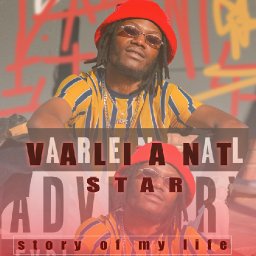 uploaded_audio image