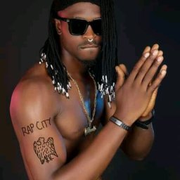 uploaded_audio image