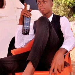 uploaded_audio image