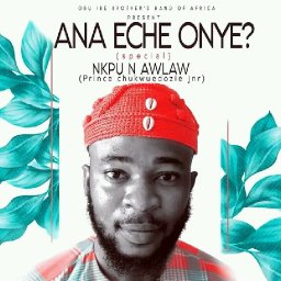 uploaded_audio image