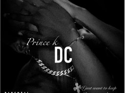 DC dream chaser