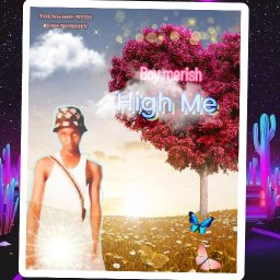 uploaded_audio image