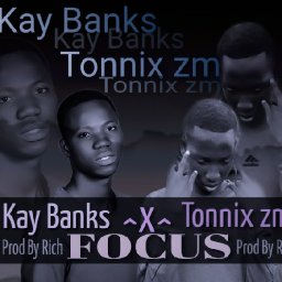 uploaded_audio image