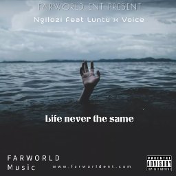 uploaded_audio image