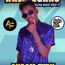 uploaded_audio image