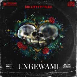 uploaded_audio image