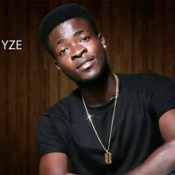 uploaded_audio image