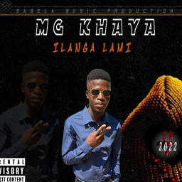 uploaded_audio image