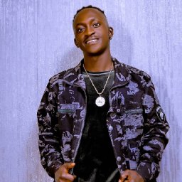 uploaded_audio image