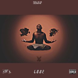 uploaded_audio image