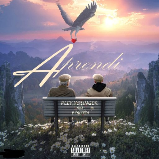 Aprendi 