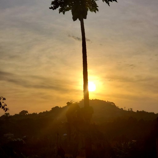 Sky High Instrumental 