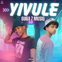 uploaded_audio image