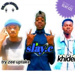 uploaded_audio image