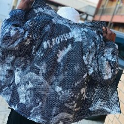 uploaded_audio image