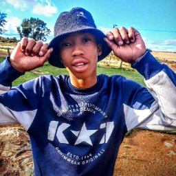 uploaded_audio image