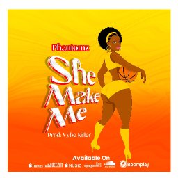 uploaded_audio image