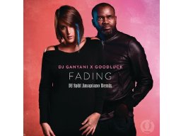 DJ Split BW - Fading (Amapiano Remix) 2023