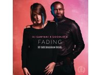 DJ Split BW - Fading (Amapiano Remix) 2023