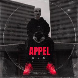 uploaded_audio image