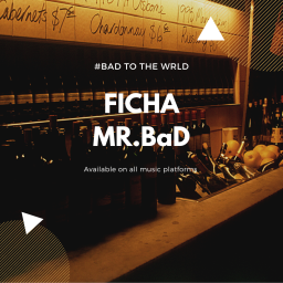 uploaded_audio image