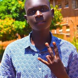 uploaded_audio image