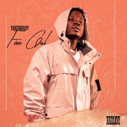 uploaded_audio image