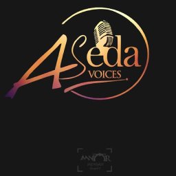 uploaded_audio image