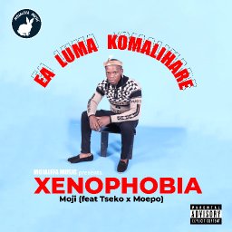 Xynophobia 