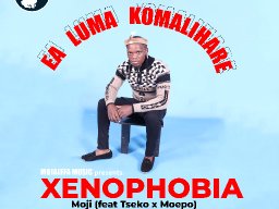 Xynophobia 
