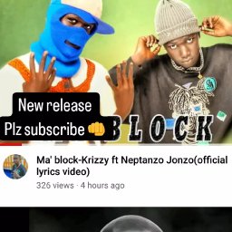 uploaded_audio image