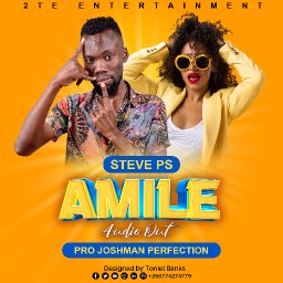 uploaded_audio image