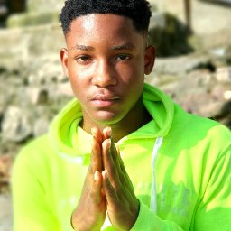 uploaded_audio image