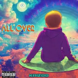 uploaded_audio image