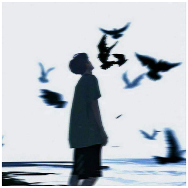 Noi Nao Cho Con Tim ?