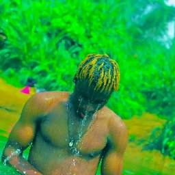 uploaded_audio image