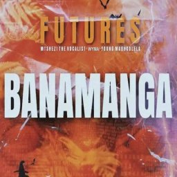 uploaded_audio image