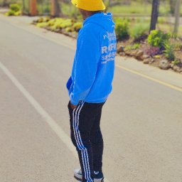 uploaded_audio image