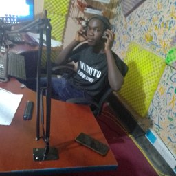 uploaded_audio image