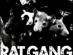 Ratgangbass 