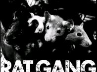 Ratgangbass 