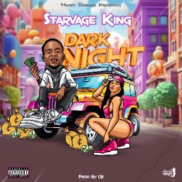 Starvage King_Dark Night (audio)