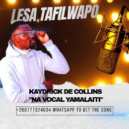 uploaded_audio image